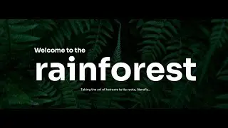 Where Nature Meets Nurture - Experience the Rainforest Head Spa