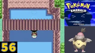 Nasty Plot Vullaby Isn't Playin | Pokemon Emerald Rogue Ep: 56