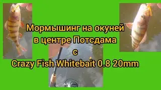 ЛОВЛЯ ОКУНЕЙ В ЦЕНТРЕ ПОТСДАМА НА Crazy Fish Whitebait 0.8 20mm. ЭТО БОМБА 👍👍👍