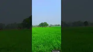 Yesa desh h mera 🇮🇳#viral #minivlog #deshbhakti #desync