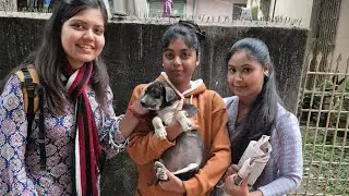 Hubby- র জন্মদিনের এই Special দিনটা পথ কুকুর ও বিড়ালদের খাইয়ে উদযাপন করলাম 😇 #bestbirthdayvideo 