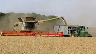 CLAAS lexion 780 /  V1230