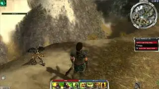 Guild Wars-Fire IMP