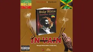 IN VAIN (Radio Edit)