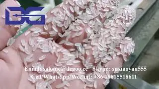 Artificial rice making machine resistant starch fortified rice protein rice maker production line