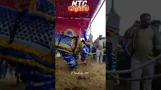 NTC ಅಧಿಪತಿ ##ಹೋರಿ ಹಬ್ಬ ##HORI HABBA ##place subcribe &hearts;️&hearts;️&hearts;️#hori #habba ##viralvideo