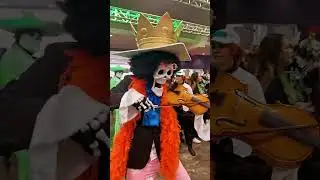 Soul king Brook giving the public a free concert Yo-hohoho! #onepiece #soulking #brook #mugiwara