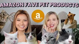 Amazon Favorites: Pet Edition!