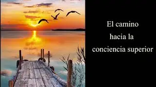 El camino hacia la conciencia superior