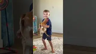Who Let the Chickens Out? Kids Being Adorable #chickens #kidsdothedarnestthings