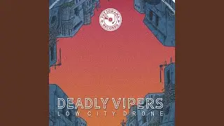 Low City Drone