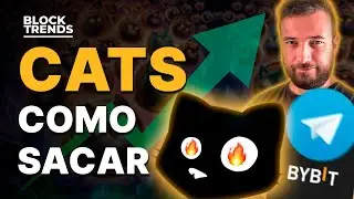 URGENTE: Saiba como sacar o AIRDROP DE CATS!