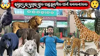 Nandankanan Bhubaneswar ।।  Nandankanan Zoological park Bhubaneswar ।। Raj Sekhar Creation