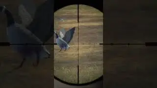 Hunter call of the wild:gold Canada goose
