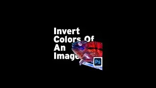How to Invert Colors #photoshop #shorts