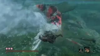 SEKIRO：ぬしの鯉の寝床～餌やり場まで