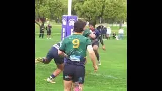 2024 Footscray Doggies Highlights