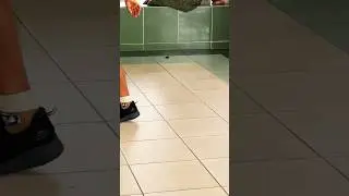 THE COCKROACH WAS SCARED OF NIKE AIR JORDAN 4 NAVY BLUE!