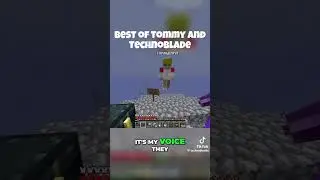 Best of Tommy and Technoblade Moments! (not mine)(@technobladde)(tiktok)(from a fanpage)(funny/cool)