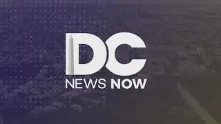 Top Stories from DC News Now at 4 p.m. on Jan. 26, 2026