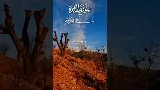 #viral #Islamic#Islamic ✨