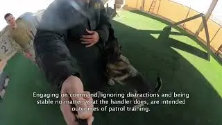 K9 Training, Day 2 - 332d Expeditionary Security Forces Squadron