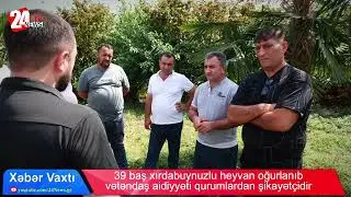Yuxarı Saral kənd sakininə məxsus xırdabuynuzlu heyvan aylardır oğurlanıb