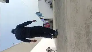 Greyhound male puppy 8 month 13 fit jamp 
