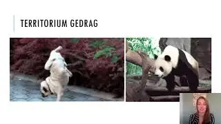 Samenvatting Gedrag 3 VMBO Biologie Voor Jou MAX