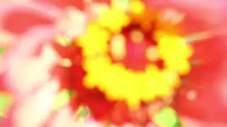 VYDL In-Camera Edit Community-Access Media Promo