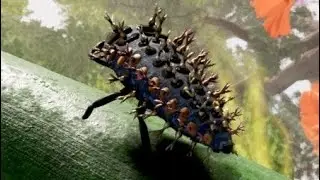 Ladybug Lifecycle Released! | Drunk On Nectar Gameplay | Nature Simulator