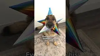 Tomorrow I turn 6 years old! Come back tomorrow to see if I can fit 6 party hats on my head 🥳