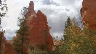Steve Schaefer jazz piano - Bryce Canyon National Park