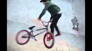 Warren - downside whip