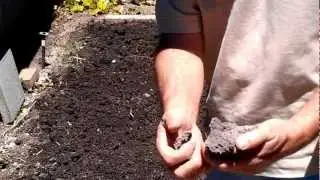 Using Soil Restore to soften hard clay soil into soft workable soil