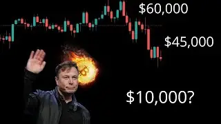 Bitcoin may Crash to $10,000 | Explaining Elon Musk&rsquo;s drama with Crypto