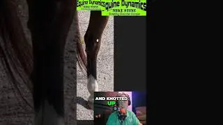 Unlocking Secrets of Horse Leg Deformities Revealed!