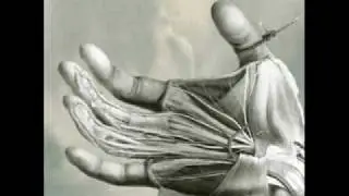 Free the robots - Sci-Fidelity