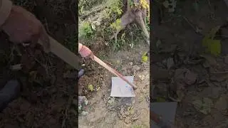 Kassi Testing 💪 | Root Cutting Power Test #kassi#tooltesting#desitools#shorts#satisfying