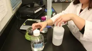 Ochratoxin Test Kit Training Video