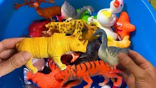 Learn animals in English, Zebra, Elephant, Camel, Lion, Horse, Giraffe, Tiger, Allosaurus