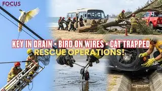 UNBELIEVABLE RESCUE! Lost Car Key in Drain, Cockatoo on Power Lines, Beach Sand Trap & More!