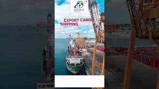 EXPORT CARGOSHIPPING SERVICES