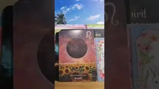 All signs Spirit guides messages