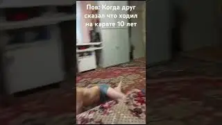 пов: когда друг сказал что ходил на карате 10 лет #мем #_
