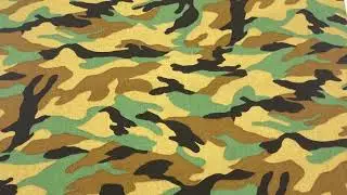 camouflage brown green canvas fabric Robert Kaufman Sevenberry