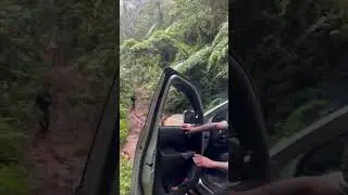 Wao Safari Virgin forest ❤️ #offroad