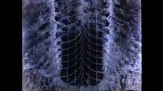 GoodYear Aquatred