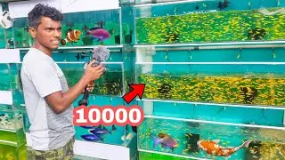 10000രൂപക്ക് മീൻ മേടിക്കാൻ പോയി....🐋🐋 B TECHY