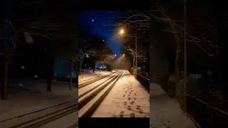 quiet snow at night